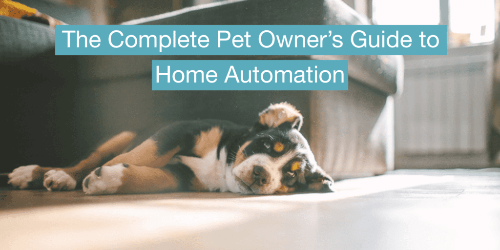 The Complete Pet Owner’s Guide to Home Automation SafeWise