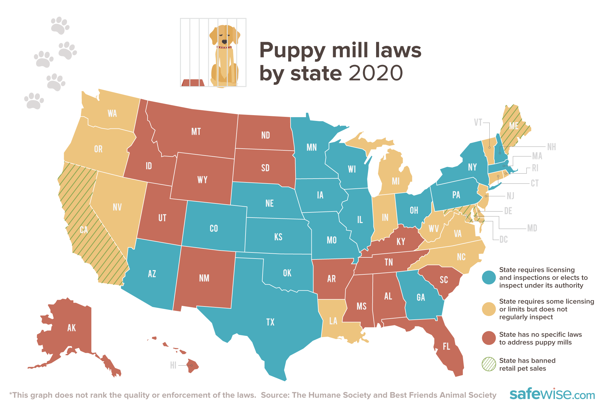 Sammy Follows: The Most (and Least) Pet-Friendly States in America