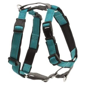 teal PetSafe pet harness