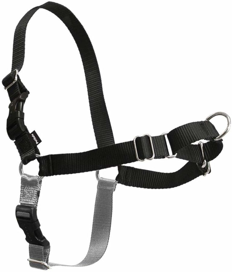 Andy's Locksmith Tips and Tricks Why Pet Harnesses Are (Usually