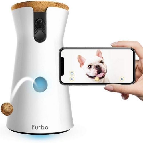 furbo dog camera app on phone