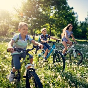 Children riding bikes in a meadow
