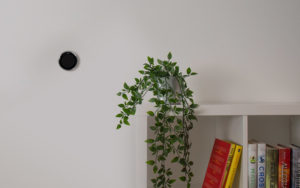 nest thermostat on wall next to bookshelf with plant