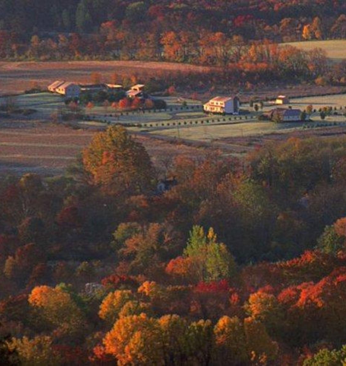 aerial view of Washington Township, NJ in the autumn