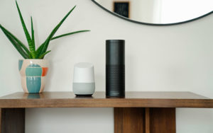 Sesión plenaria Gran cantidad Imperio Google Home vs. Alexa: Which Assistant is Best? | SafeWise