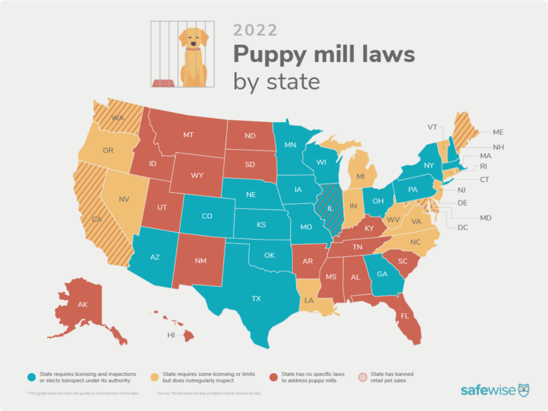 Map graphic showing the states with the best and worst puppy mill laws
