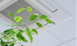 green leaves in front of air vent on ceiling