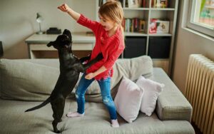 girl playing with dog on a couch