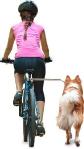 walky dog bike attachment