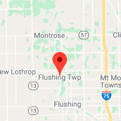Geographic location of Flushing Township, MI