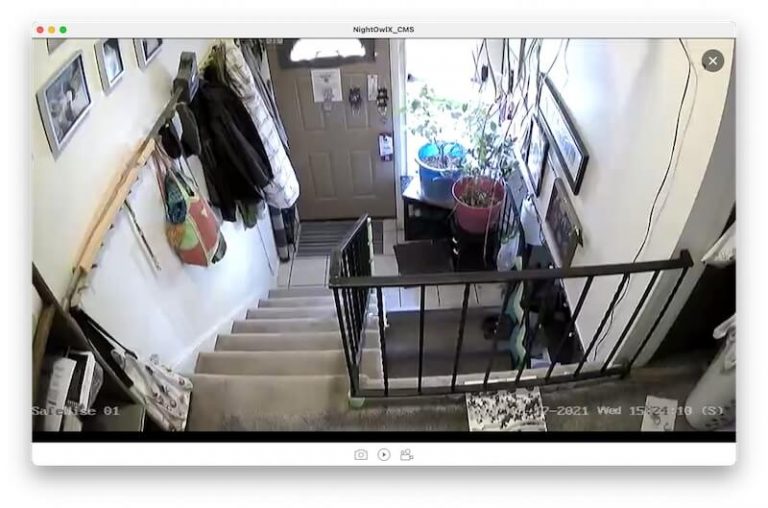 Night Owl Camera Review SafeWise