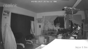 Reolink Argus 3 Pro infrared night vision video