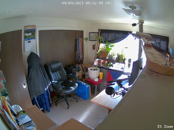 Reolink E1 Zoom daytime video