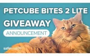 Petcube Bites 2 Lite Giveaway