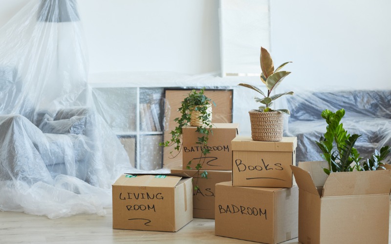 labeled moving boxes in a pile