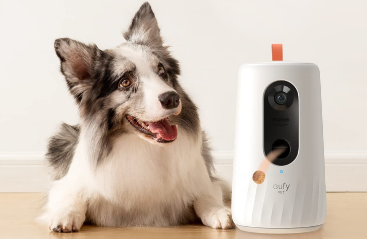 eufyPet Dog Camera D605 with a dog