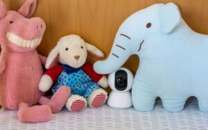 Nanny camera among stuffed animals