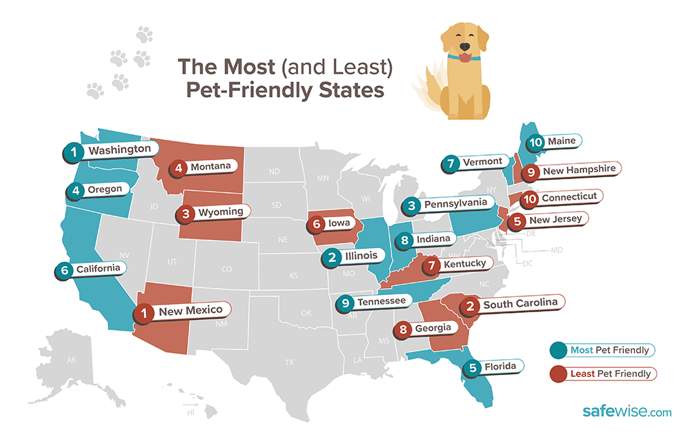 Pet Safety Archives SafeWise