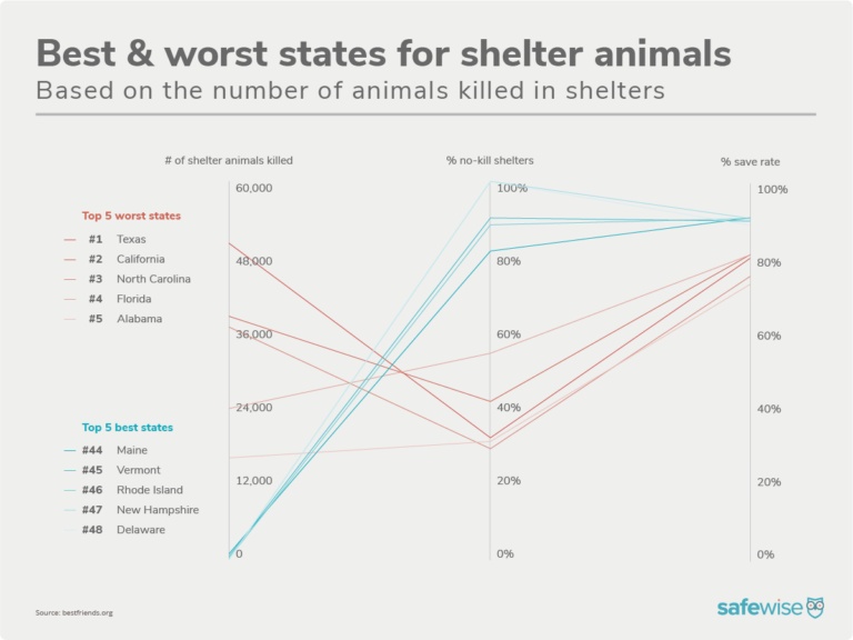 Data visualization graphic showing the top 5 best and worst states for shelter animals in 2022, and relationship between the percent of animals killed in shelters versus the percent of no-kill shelters in the state