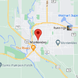 Geographic location of Montevideo, MN