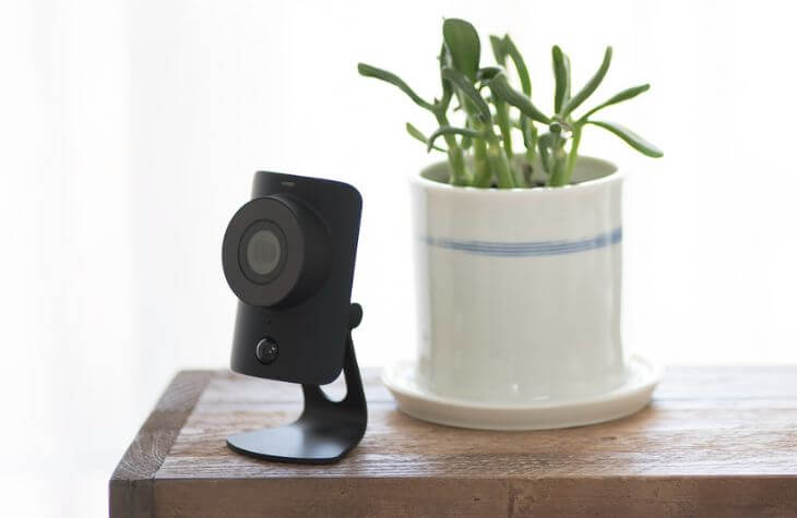 indoor SimpliSafe "Simplicam" sitting on a table next to a potted plant for scale
