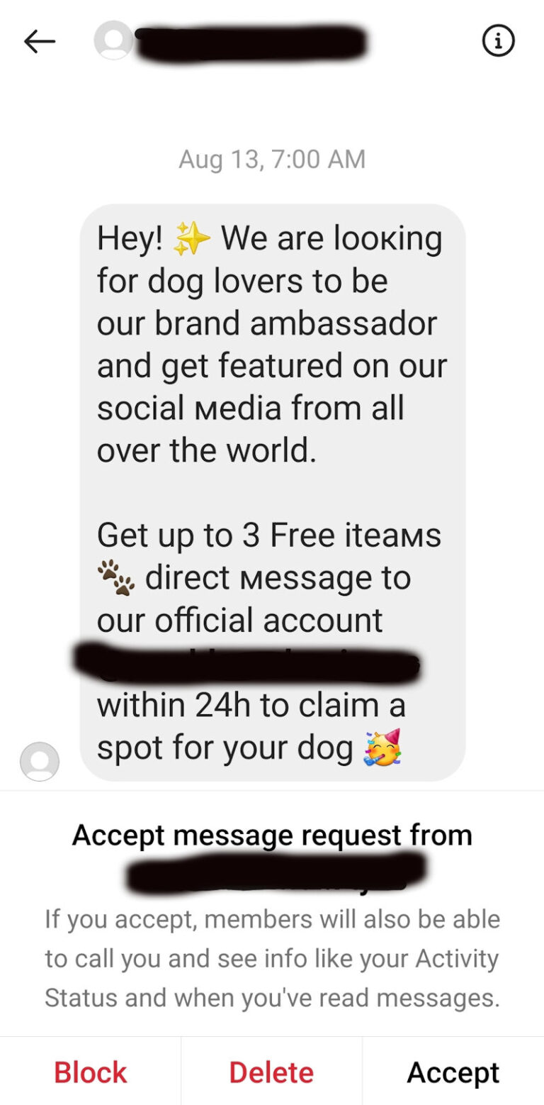 Scammers use enticing DMs to draw you in, like this one offering jobs as influencers.