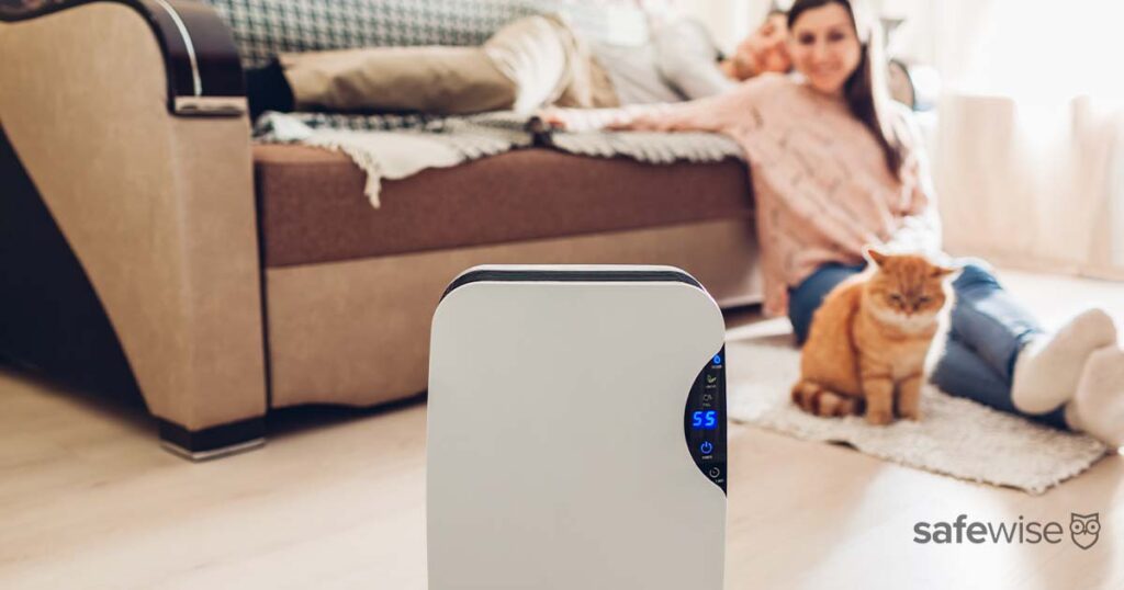 couple-and-cat-sitting-near-dehumidifier