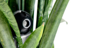 Hidden webcam in a flower pot. Hidden video surveillance and esp