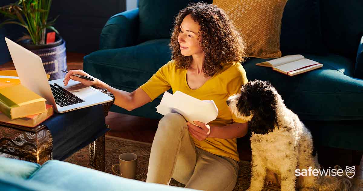 How Does Pet Insurance Work? SafeWise