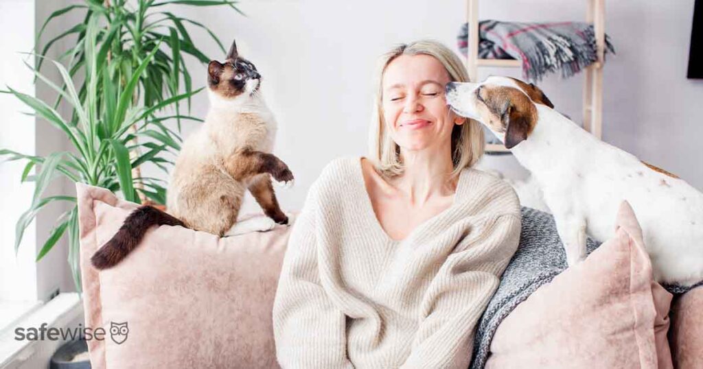 woman sitting on couch with dog and cat