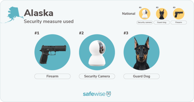 Security measures used most in Alaska: firearms, security cameras, guard dogs.