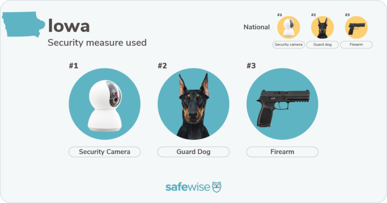 Security measures used most in Iowa: security cameras, guard dogs, firearms.