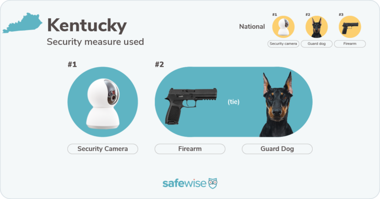 Security measures used most often in Kentucky: security cameras, firearms, guard dogs.