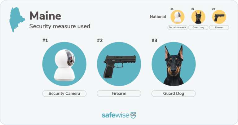 Security measures used most in Maine: security cameras, firearms, guard dogs.