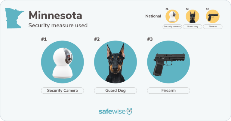 Security measures used most in Minnesota: security cameras, guard dogs, firearms.