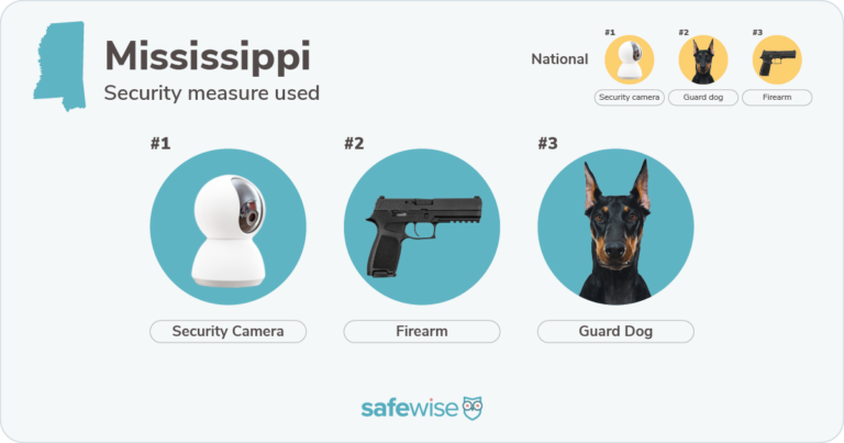 Security measures used most often in Mississippi: security cameras, firearms, guard dogs.