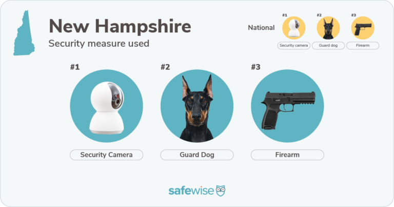 Security measures used most in New Hampshire: security cameras, guard dogs, firearms.