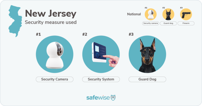 Security measures used most in New Jersey: security cameras, security systems, guard dogs.