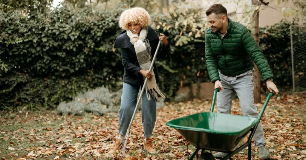 Couple raking autumn leaves in backyard garden