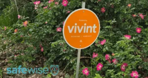 Vivint sign in front of rose garden.