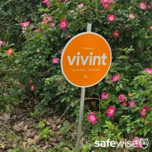 Orange Vivint yard sign in a tester's yard in front of pink flowers on a shrub.
