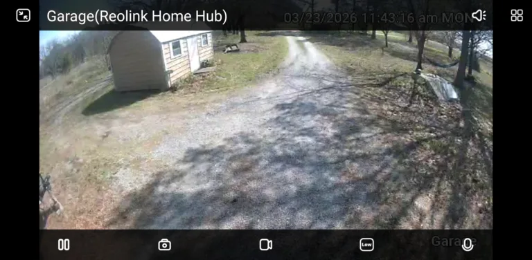 The Reolink Solar Floodlight footage is grainy and washed out.