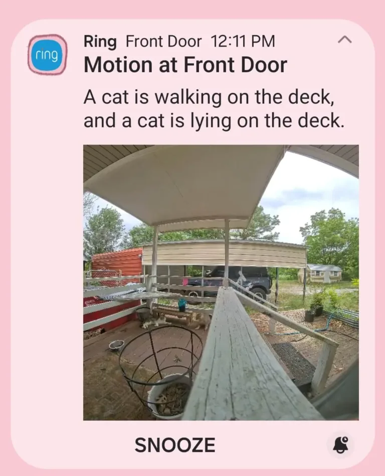 A Ring notification that describes exactly what the camera is looking at.