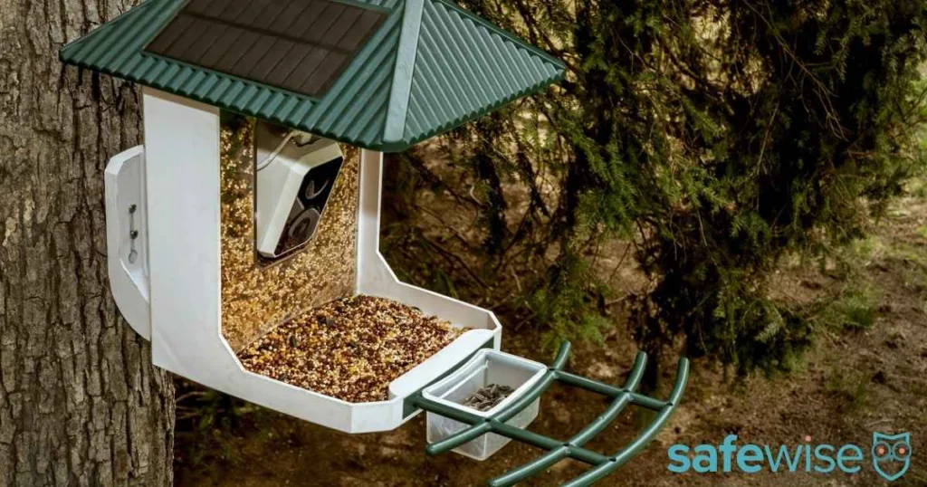 Bird feeder attached to a tree. Solar panels on the roof powers a camera for live viewing and recording using Wi-Fi.