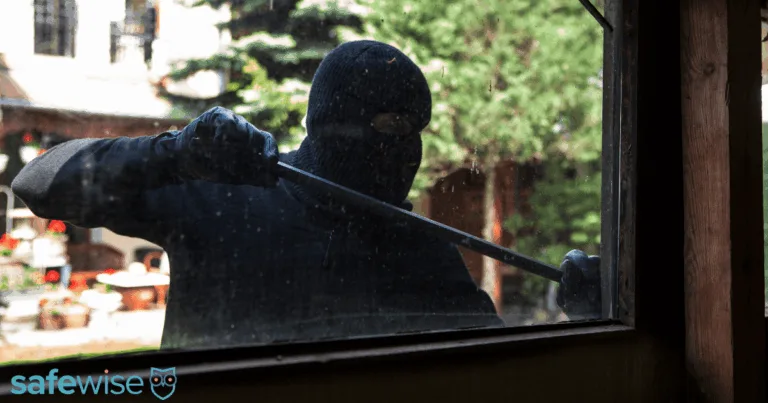 Burglar trying to pry open a window