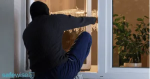 Burglar climbing through window