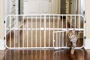 picture of cat walking through a carlson pet gate