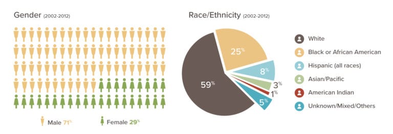 Pie chart and icon chart showing demographic percentages.