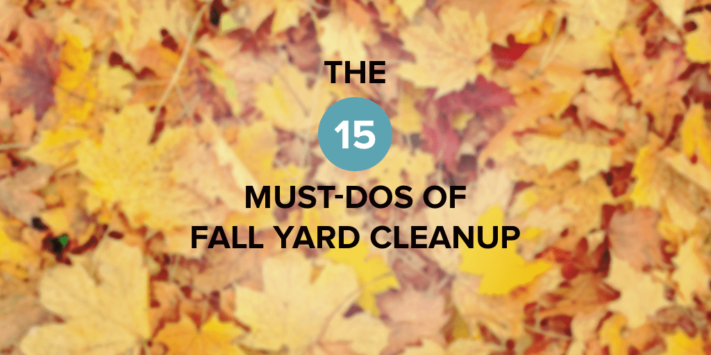 fall-yard-cleanup