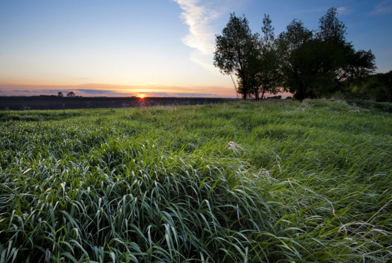 North Dakota's 10 Safest Cities of 2020 SafeWise